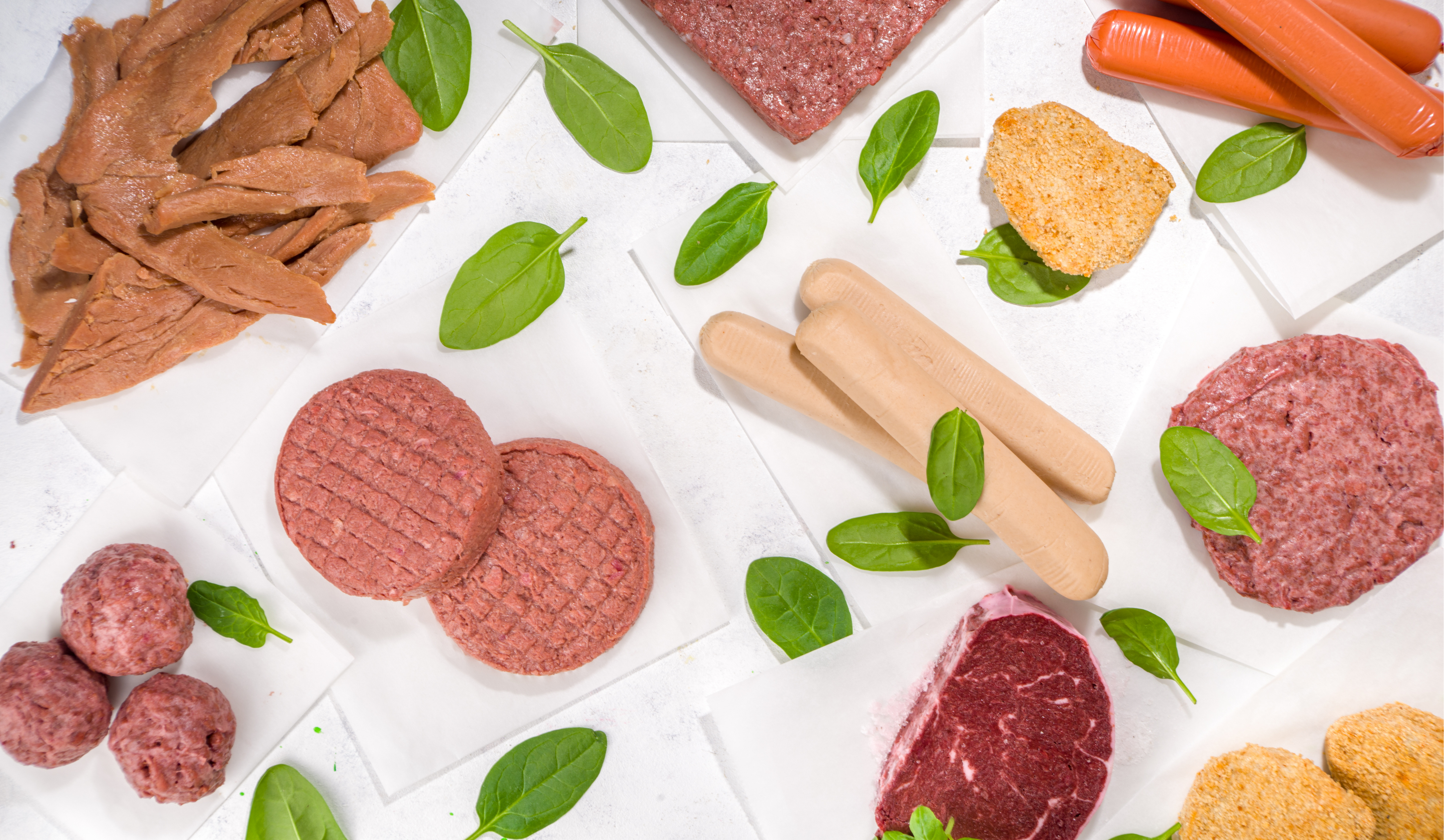 PROTEIOS: Elevating Plant-Based Food Innovation
